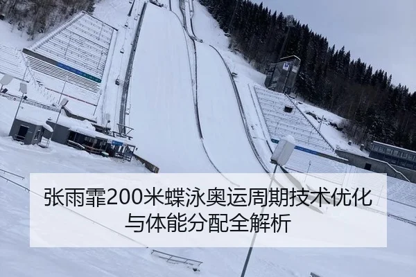 张雨霏200米蝶泳奥运周期技术优化与体能分配全解析