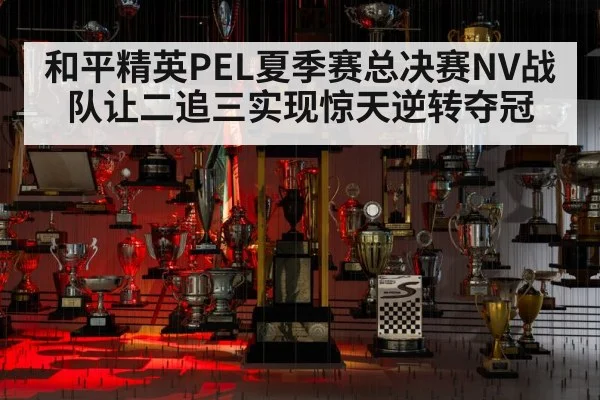 和平精英PEL夏季赛总决赛NV战队让二追三实现惊天逆转夺冠
