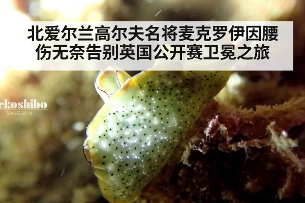 北爱尔兰高尔夫名将麦克罗伊因腰伤无奈告别英国公开赛卫冕之旅